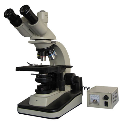 Trinocular Biological Microscope