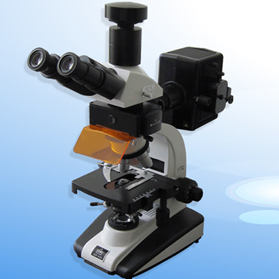 Fluorescence Trinocular Microscope