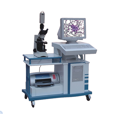 Pathological Image analysis system