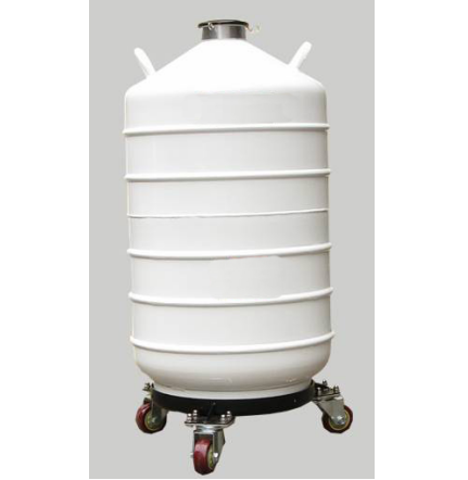 Liquid Nitrogen Container