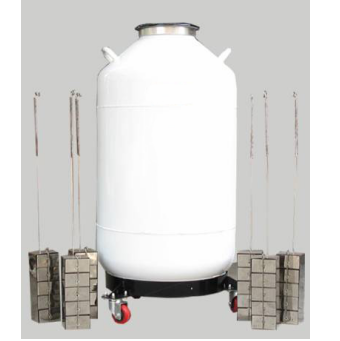 Liquid Nitrogen Container