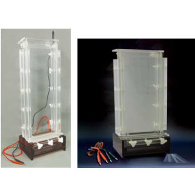 DNA Sequence Analysis Electrophoresis Cell