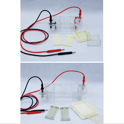 Mini Agarose Electrophoresis Cell/ Agarose Horizontal Electrophoresis Cell