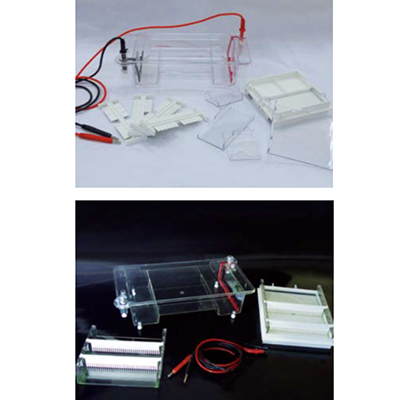 Agarose Horizontal Electrophoresis Cell