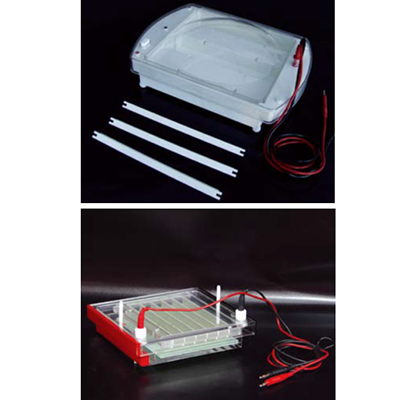 Horizontal Electrophoresis Cell/ Rapid Gel Electrophoresis Cell