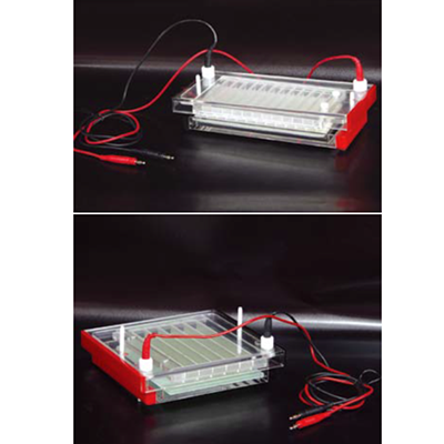 Electrophoresis Cell